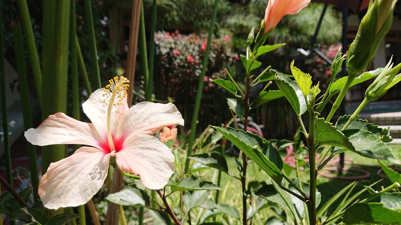 Villa Mimi اوتابالو المظهر الخارجي الصورة